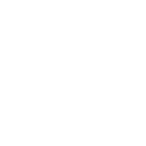 white globe icon with transparent background