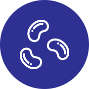 3 soya bean white icon with blue circle background